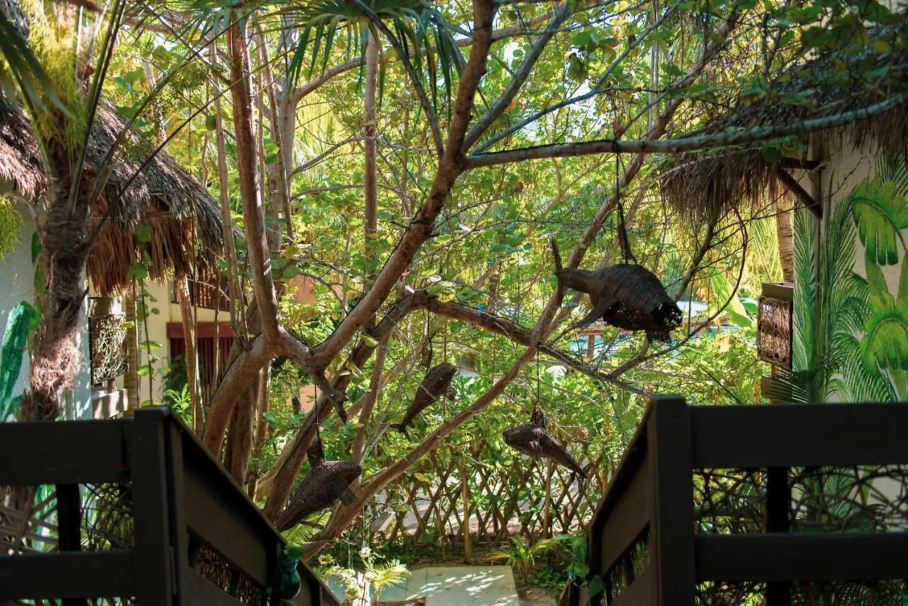 ****  Hotel Villas Tiburon Adults Only Isla Holbox Mexico