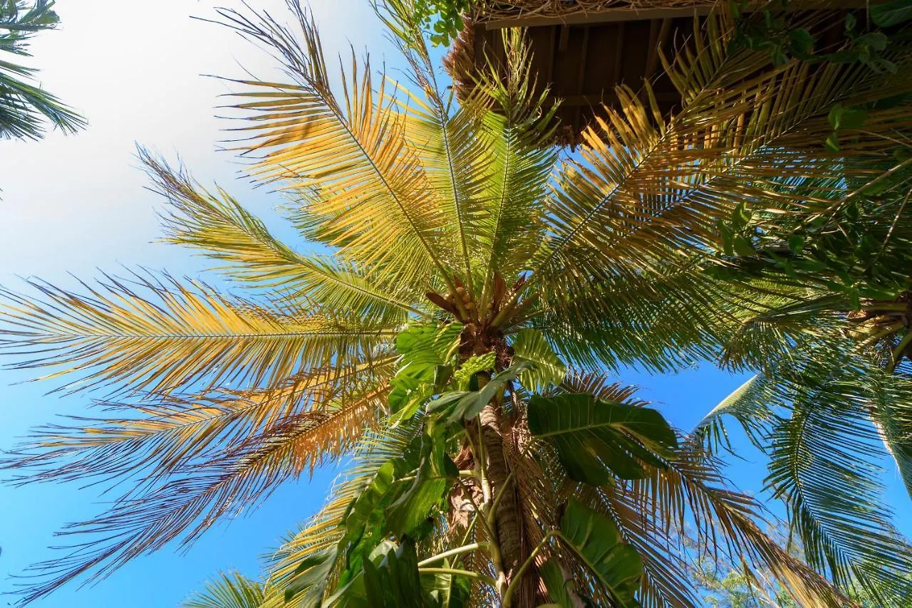 Hotel Villas Tiburon Adults Only Isla Holbox