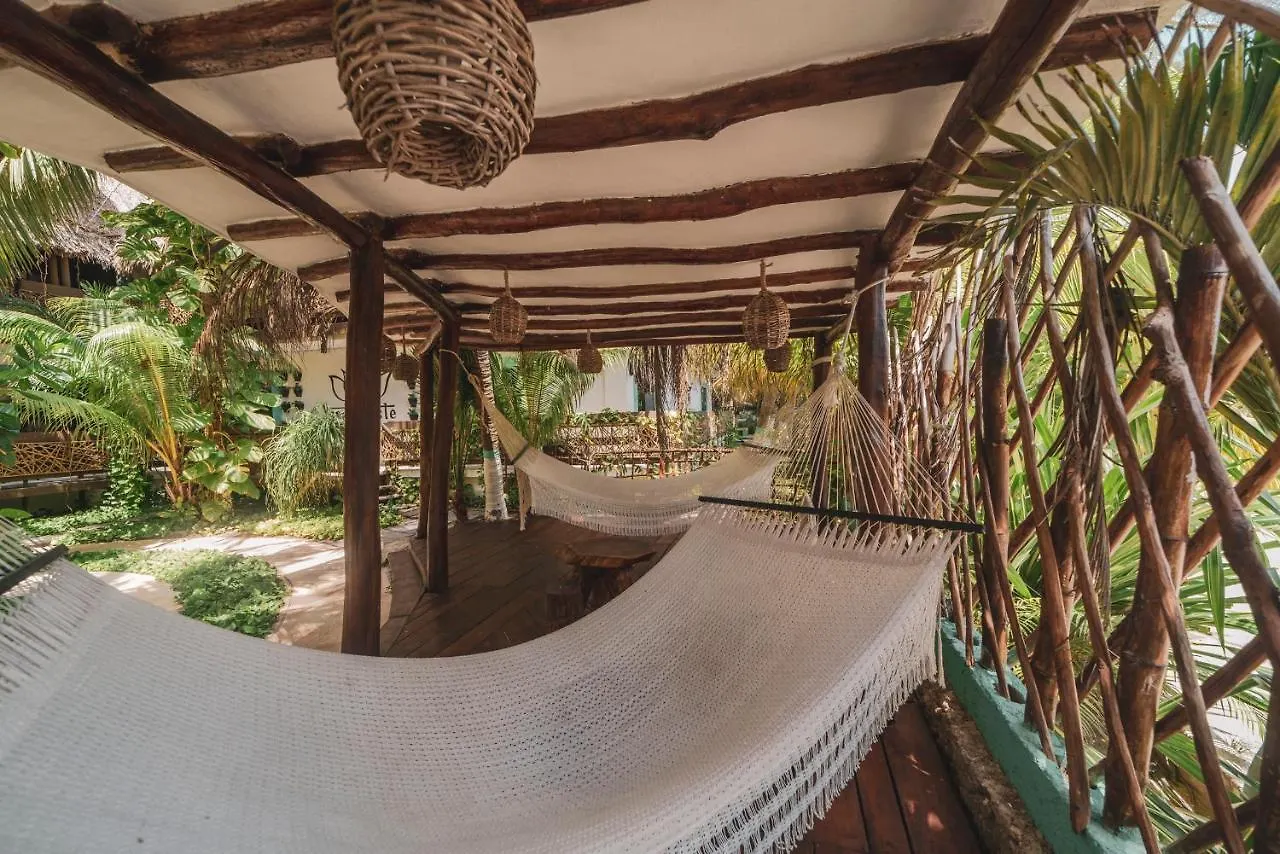Hotel Villas Tiburon Adults Only Isla Holbox 4*,  Mexiko