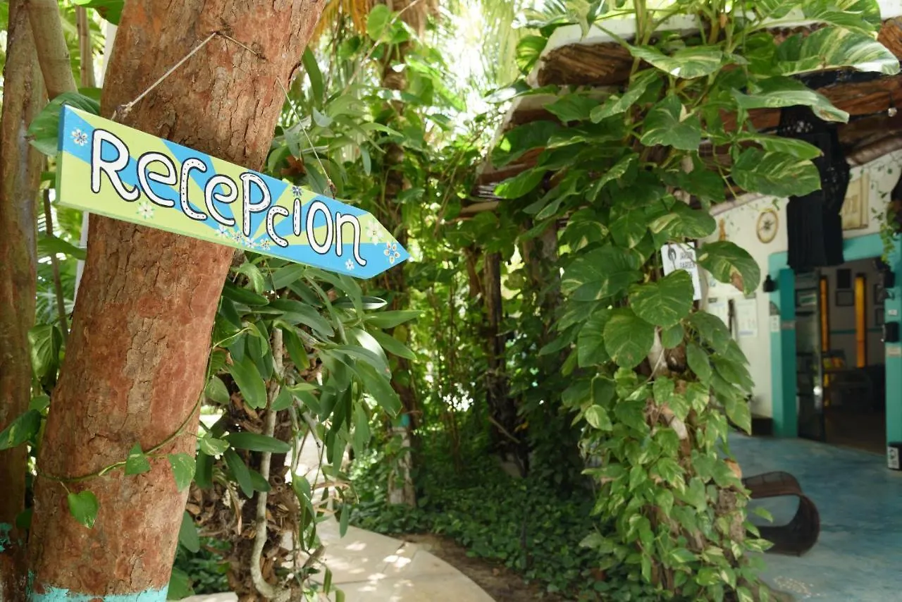 Hotel Villas Tiburon Adults Only Isla Holbox
